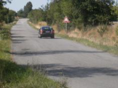 Rallye 2011