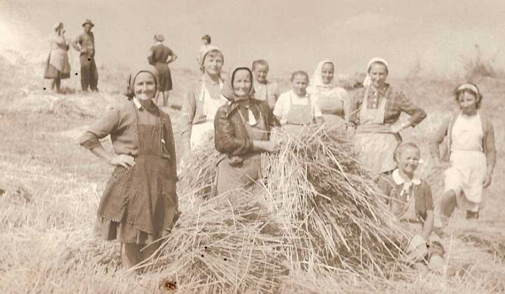 19. fotografia fotogalérie Čiernobiele foto