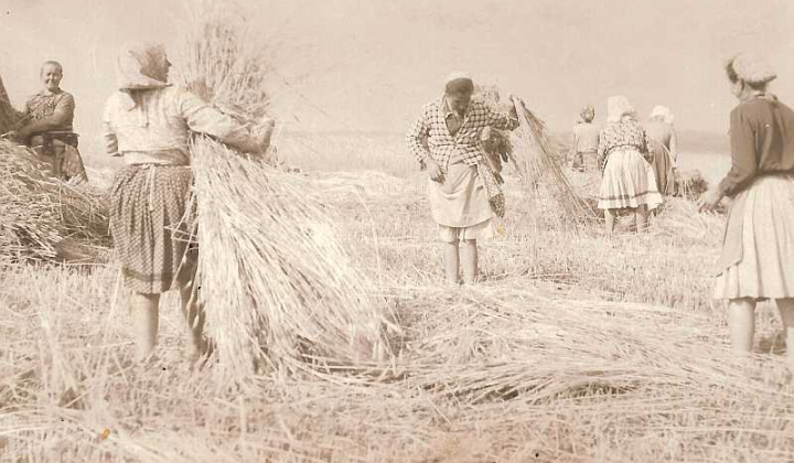 22. fotografia fotogalérie Čiernobiele foto