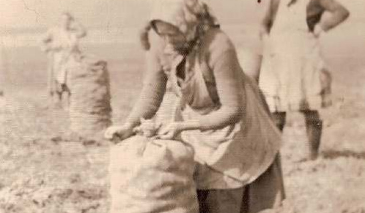 23. fotografia fotogalérie Čiernobiele foto