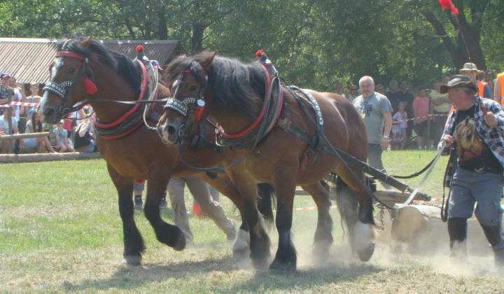 1. fotografia fotogalérie Pozvánka na 12 ročník furmanských pretekov ťažných koní. - foto