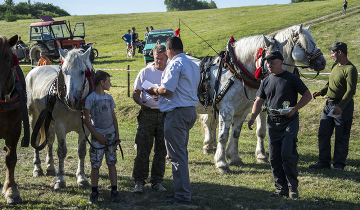 2. fotografia fotogalérie Furmani 2015