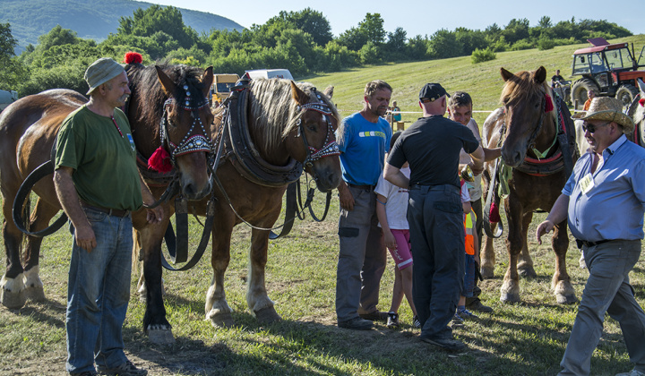3. fotografia fotogalérie Furmani 2015