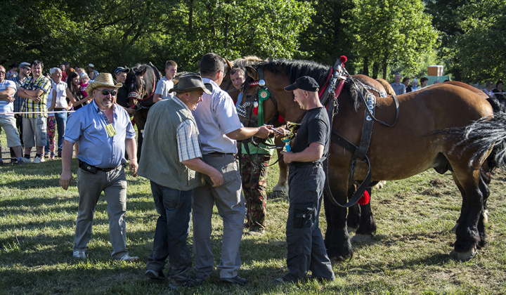 4. fotografia fotogalérie Furmani 2015