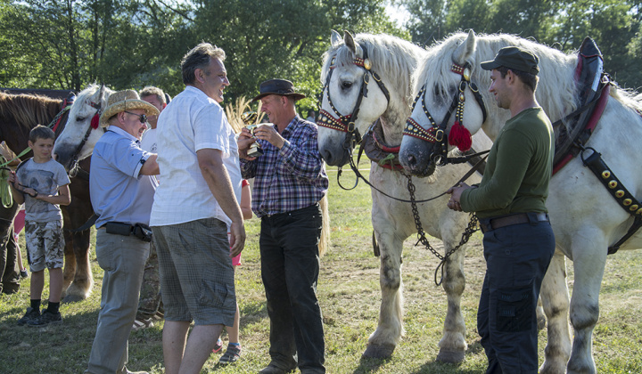 5. fotografia fotogalérie Furmani 2015