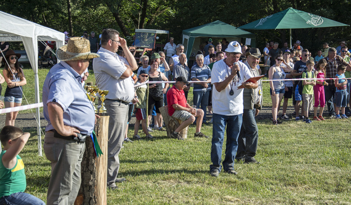 7. fotografia fotogalérie Furmani 2015