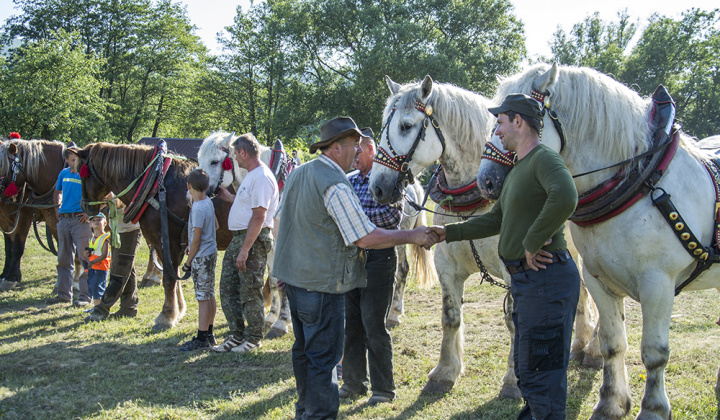 8. fotografia fotogalérie Furmani 2015