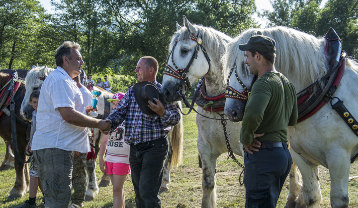 9. fotografia fotogalérie Furmani 2015