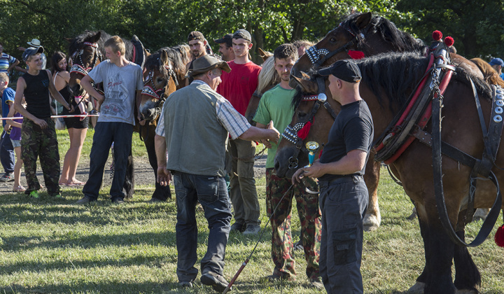 11. fotografia fotogalérie Furmani 2015