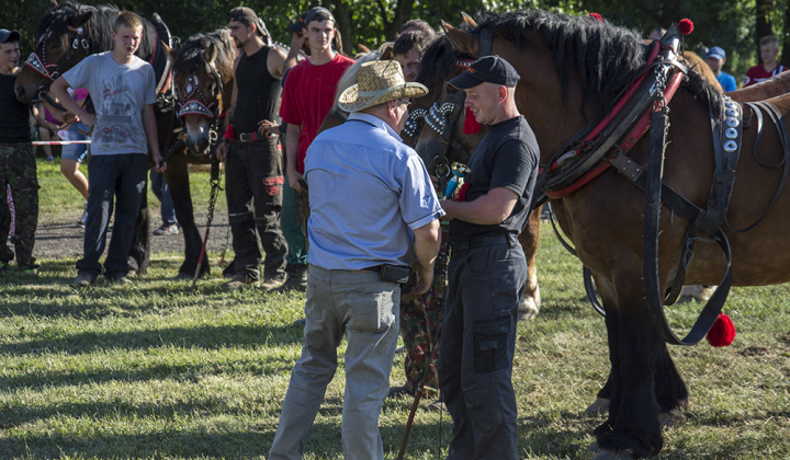 12. fotografia fotogalérie Furmani 2015