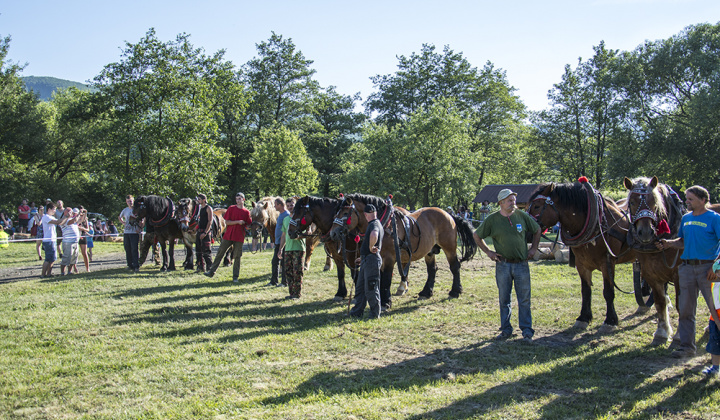 15. fotografia fotogalérie Furmani 2015