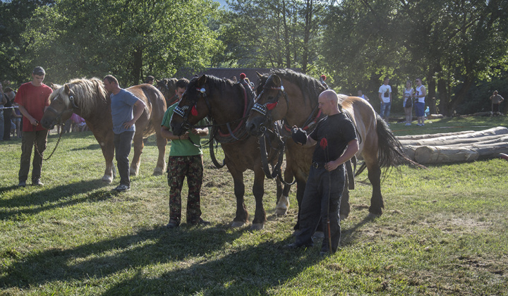 16. fotografia fotogalérie Furmani 2015