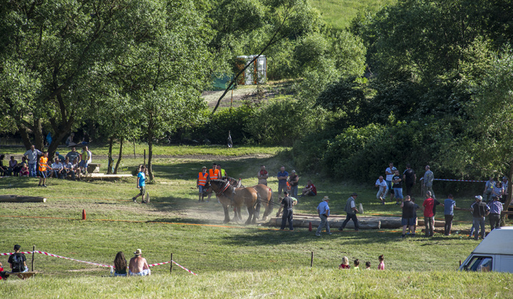 20. fotografia fotogalérie Furmani 2015