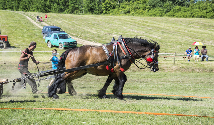 23. fotografia fotogalérie Furmani 2015