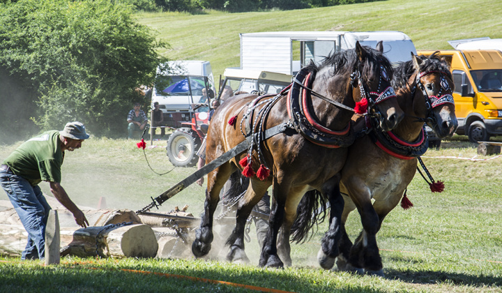 24. fotografia fotogalérie Furmani 2015