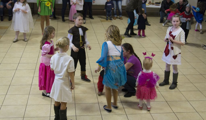 20. fotografia fotogalérie Karneval 2017