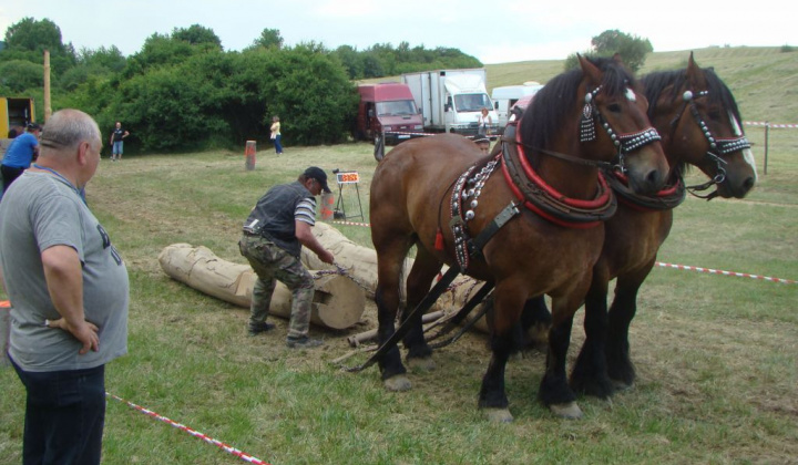 24. fotografia fotogalérie Furmani 2017