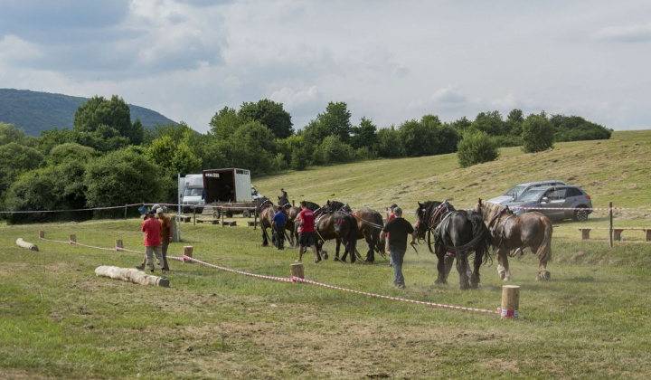 1. fotografia fotogalérie Furmani 2018