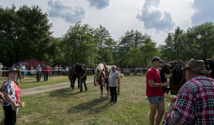 2. fotografia fotogalérie Furmani 2018