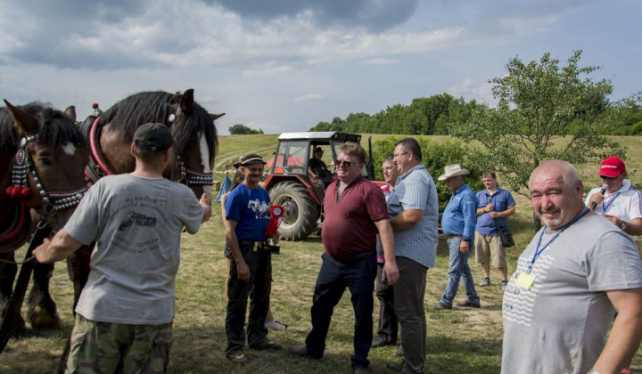 6. fotografia fotogalérie Furmani 2018