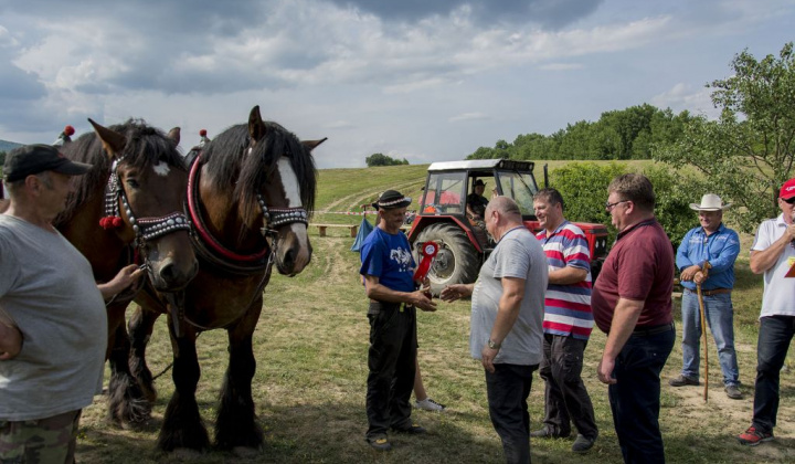 7. fotografia fotogalérie Furmani 2018