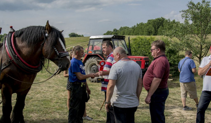 8. fotografia fotogalérie Furmani 2018