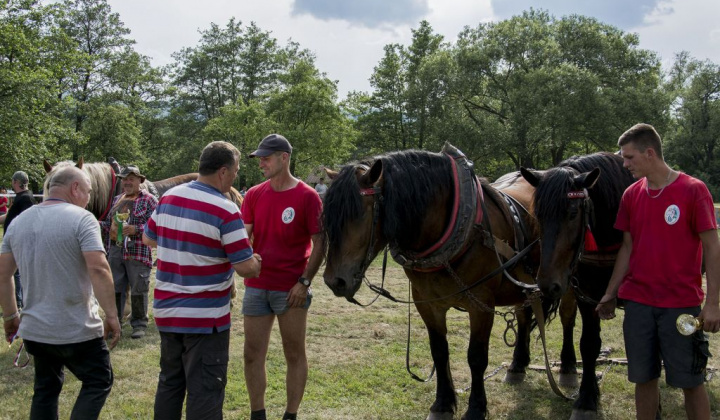 9. fotografia fotogalérie Furmani 2018