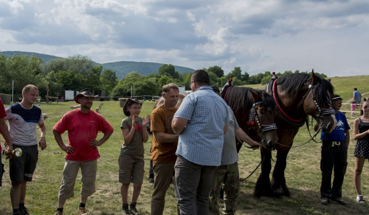 10. fotografia fotogalérie Furmani 2018