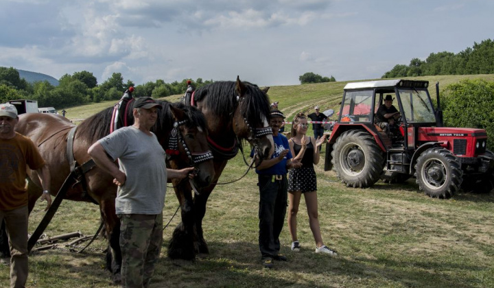 12. fotografia fotogalérie Furmani 2018