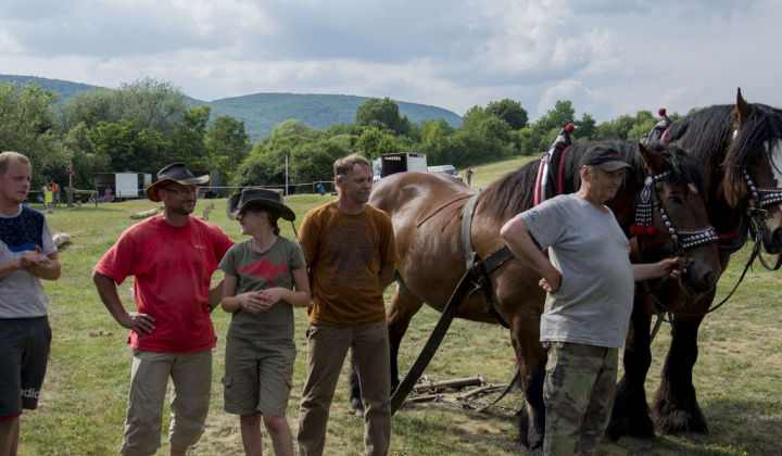 13. fotografia fotogalérie Furmani 2018