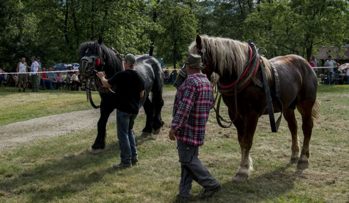 14. fotografia fotogalérie Furmani 2018