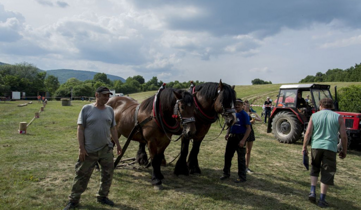 16. fotografia fotogalérie Furmani 2018