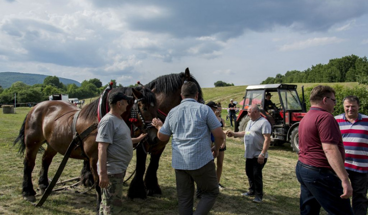 17. fotografia fotogalérie Furmani 2018