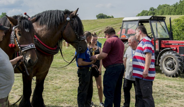 18. fotografia fotogalérie Furmani 2018
