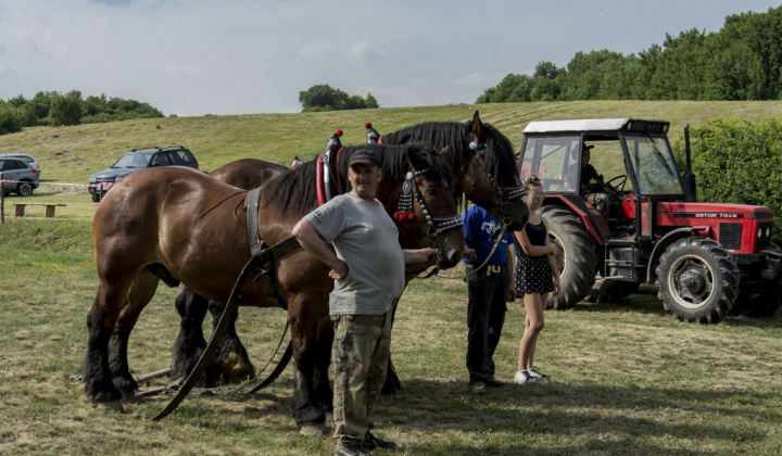 20. fotografia fotogalérie Furmani 2018