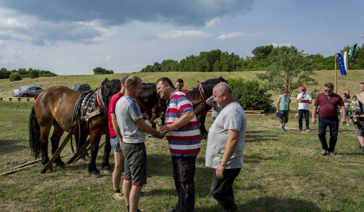 21. fotografia fotogalérie Furmani 2018