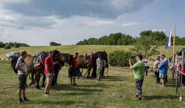 24. fotografia fotogalérie Furmani 2018