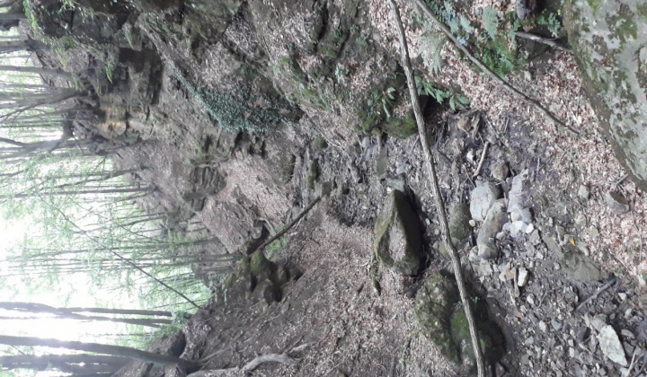 5. fotografia fotogalérie Foto 2019