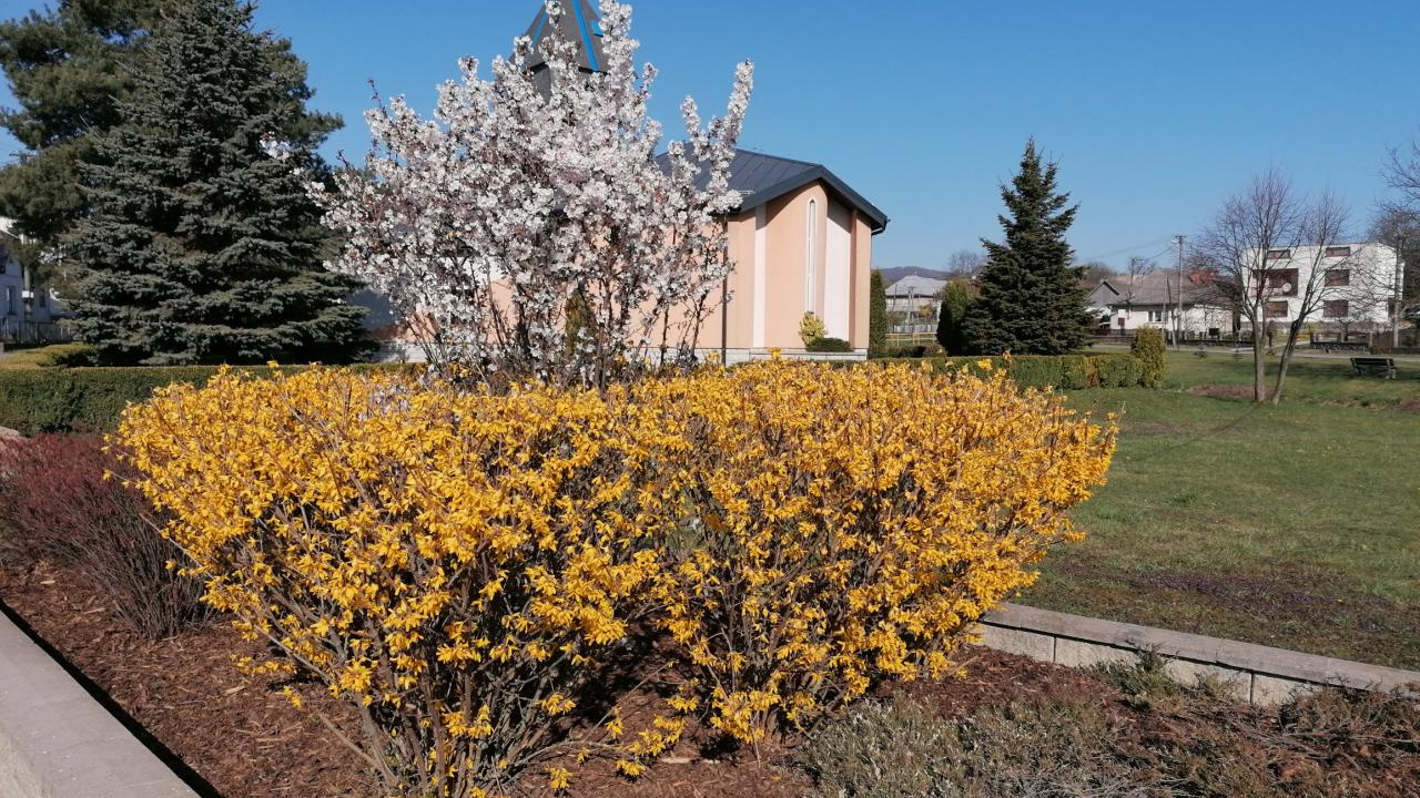 Fotografia fotogalérie Jar 2020