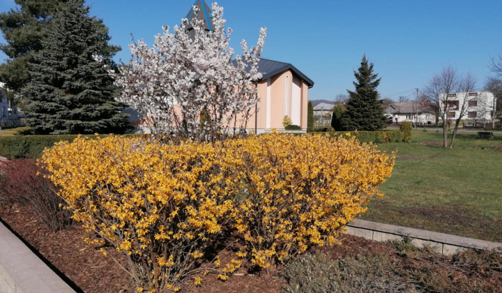 1. fotografia fotogalérie Jar 2020