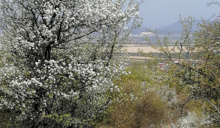 3. fotografia fotogalérie Jar 2020